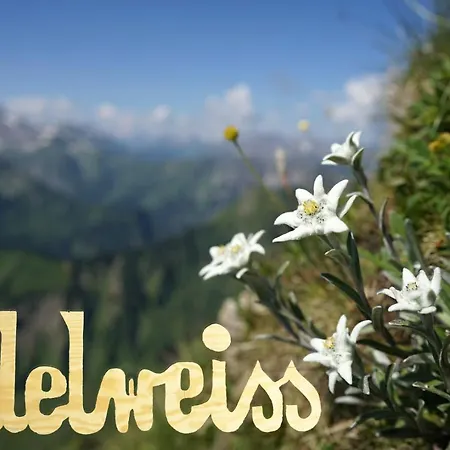 Edelweiss - Bayerischer Hof * 吕德斯海姆